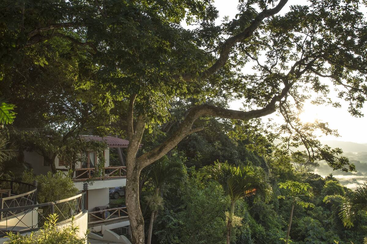 Pura Vida: Embracing Costa Rica's Soulful Philosophy