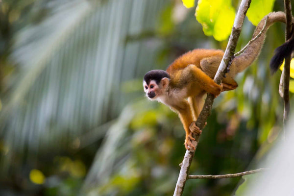 When to Visit: April Weather in Costa Rica