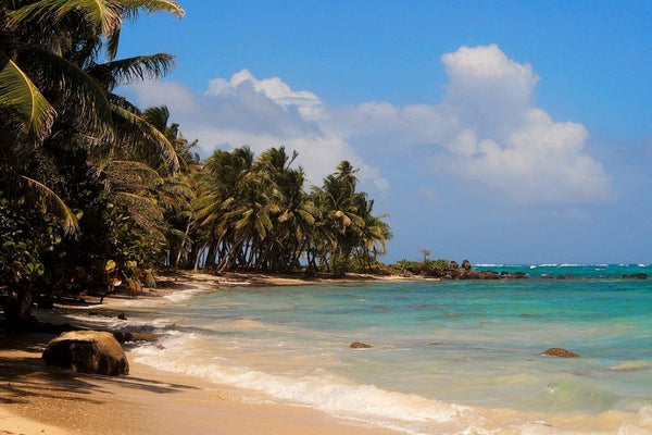 The 7 Prettiest Beaches in Nicaragua