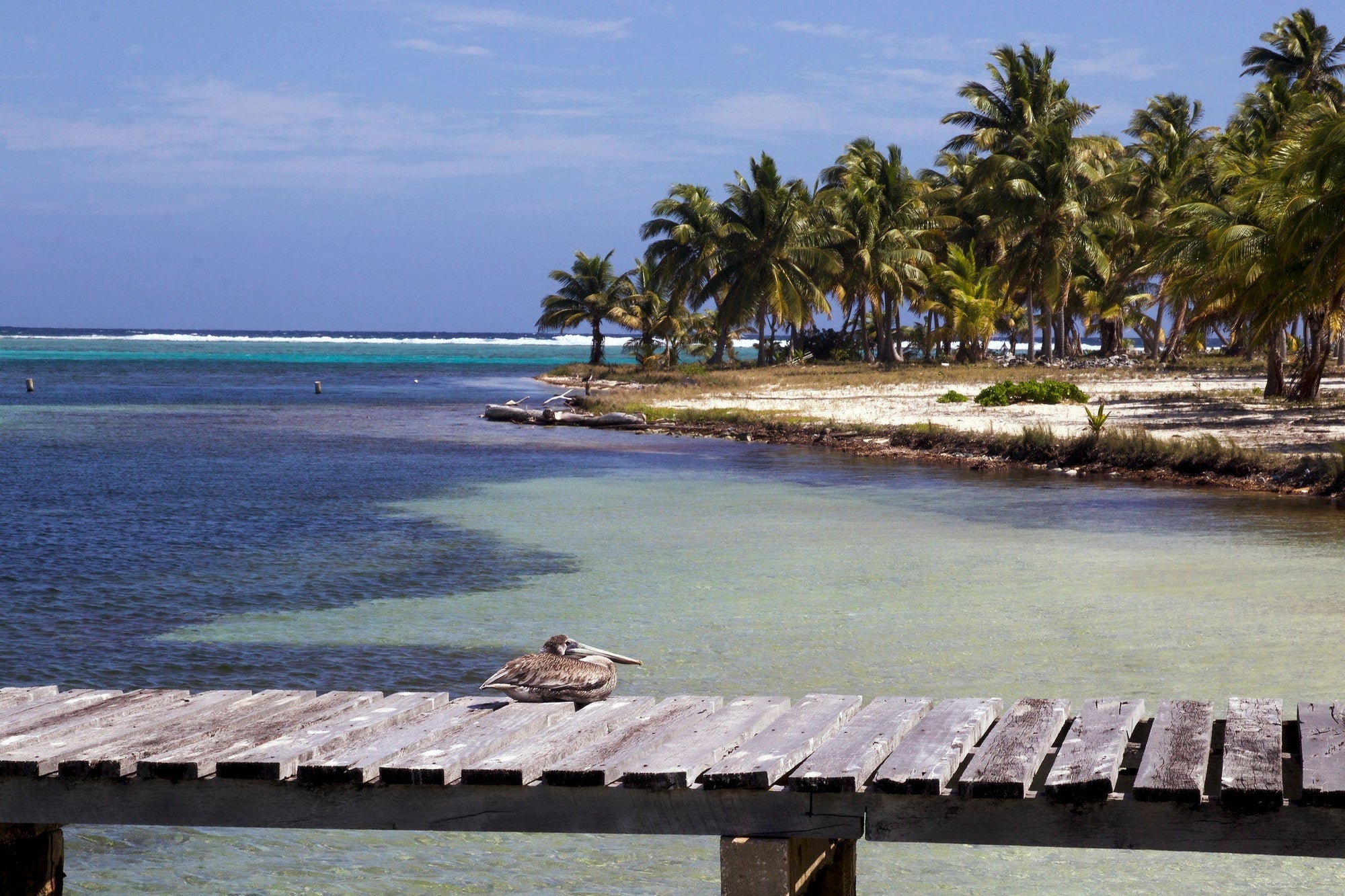 Belize in the Dry Season: An Exclusive Odyssey Through Tropical Splendor