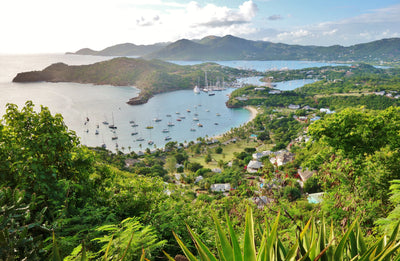 Caribbean