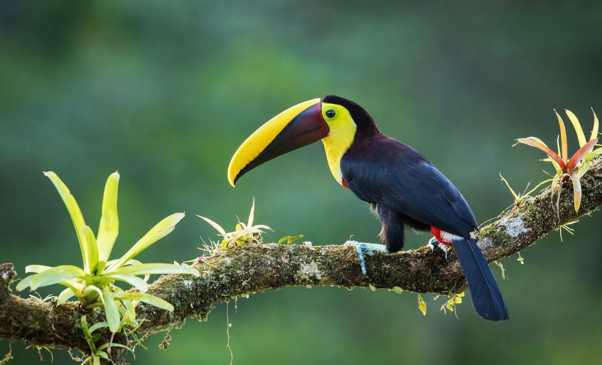 Costa Rica